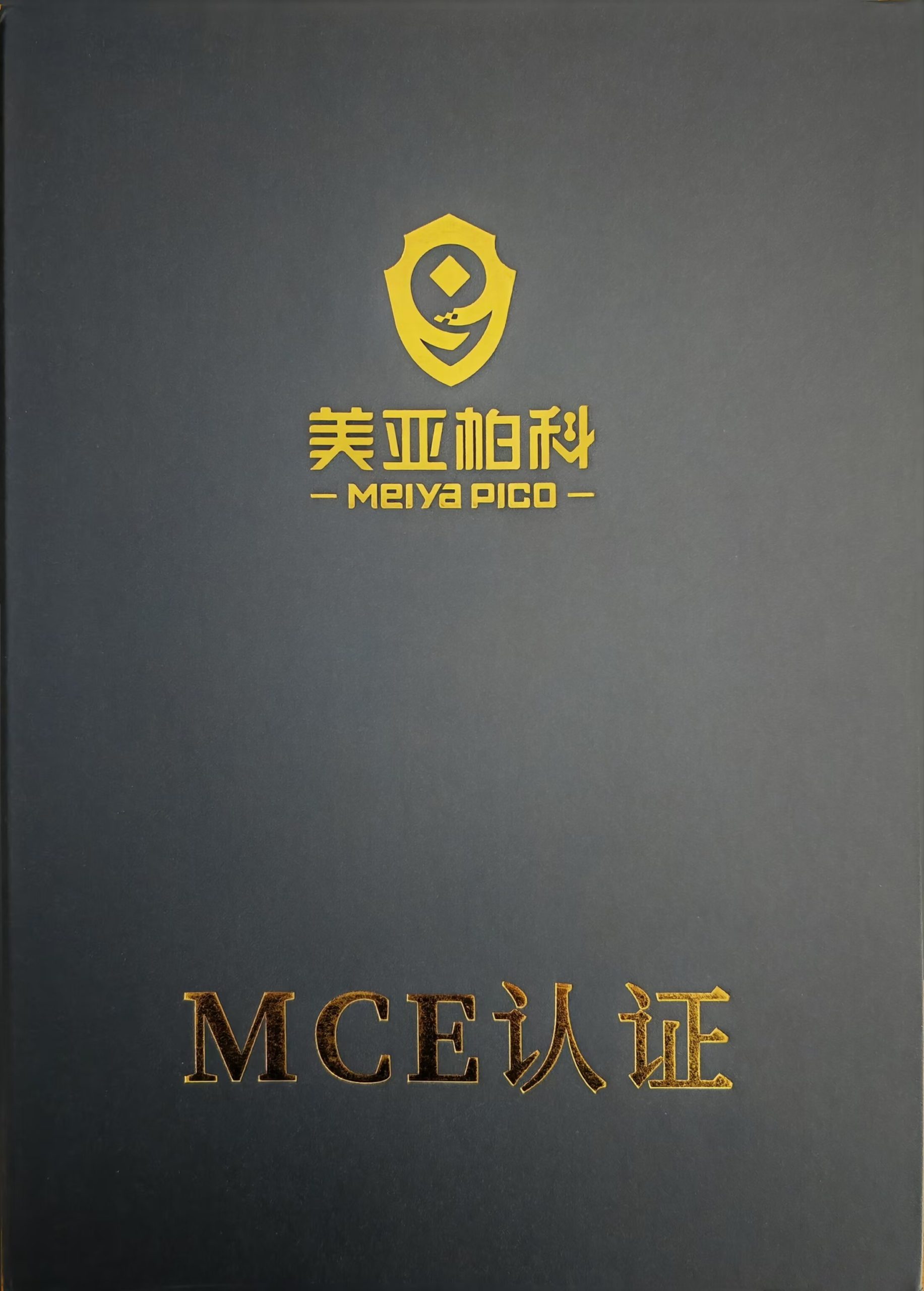 1732172668-MCE认证工程师-大数据建模技术（专家）1